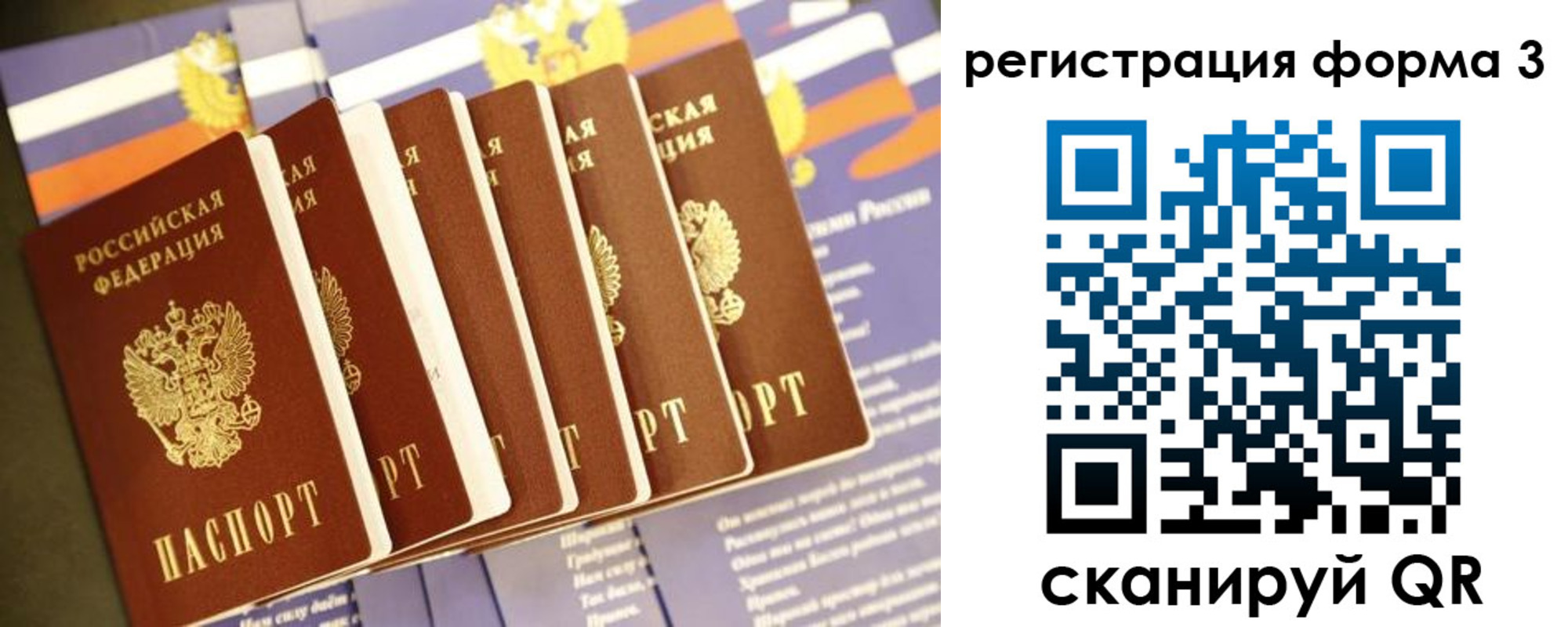 прописка штамп в Кировске